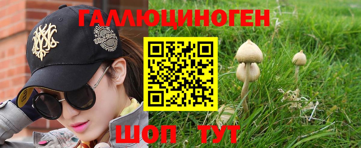 Псилоцибиновые грибы ЛСД  Вход с VPN  Кисловодск  Псилоцибиновые грибы Psilocybe 