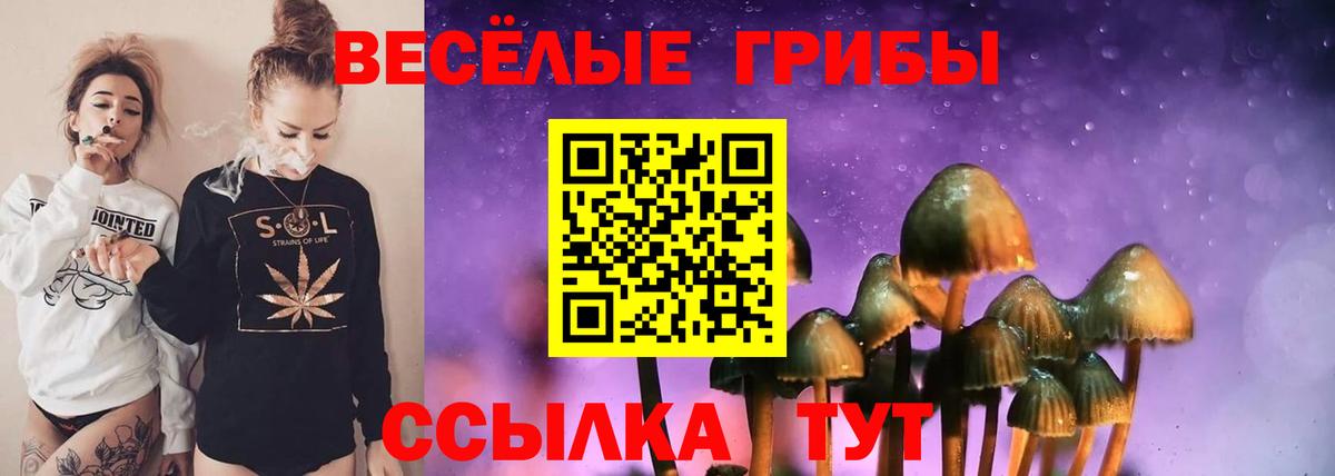 Псилоцибиновые грибы MAGIC MUSHROOMS Кисловодск